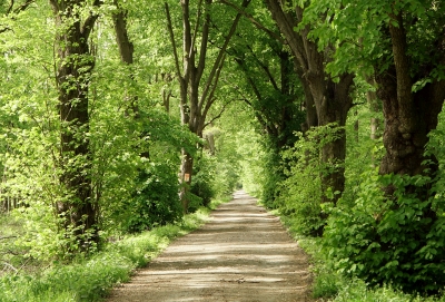 Zdjęcie miejsca nr 2