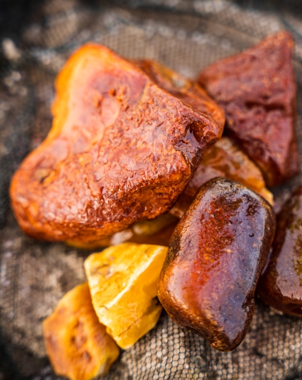 Poznaj sekrety Złota Bałtyku